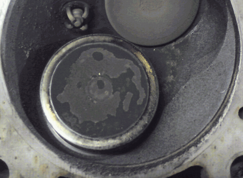 2.gif