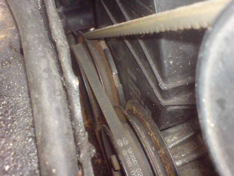 DSC02468+.jpg