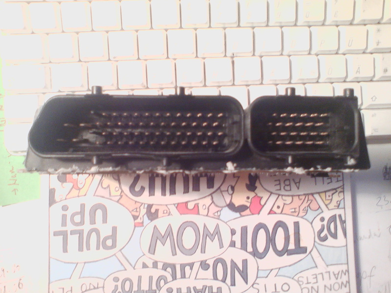 stecker.jpg