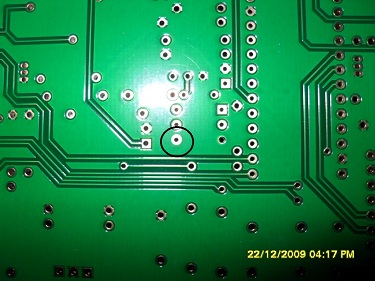 SDC10266.JPG